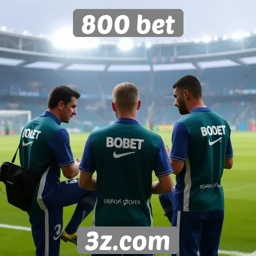 Desempenho do suporte técnico da 800 bet