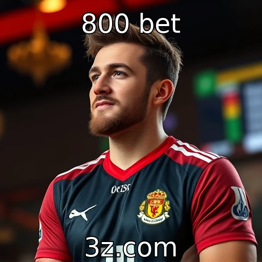 Perfil do jogador de cassino no cenário atual : 800 bet