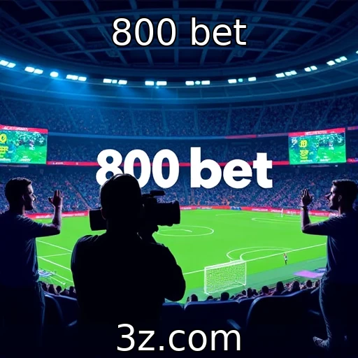 Colaboração entre desenvolvedores e operadores de apostas | 800 bet