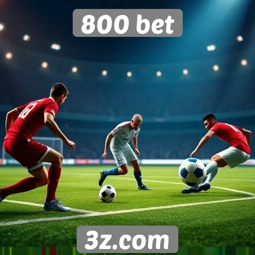 Principais jogos oferecidos pelo 800 bet