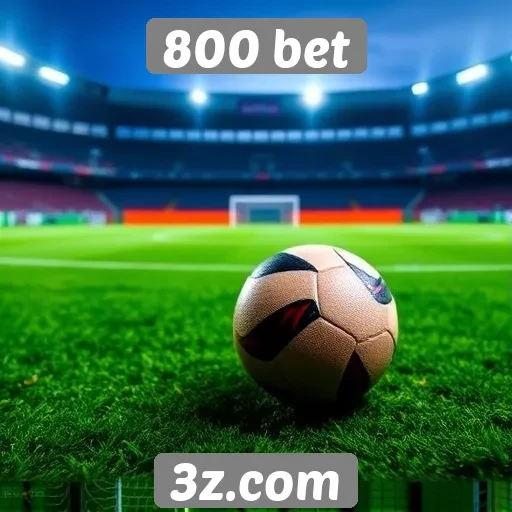Feedback de jogadores sobre o 800 bet